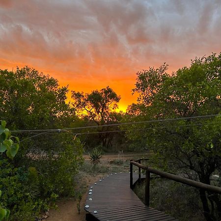 Out In Africa Wildlife Lodge Hammanskraal Exteriér fotografie