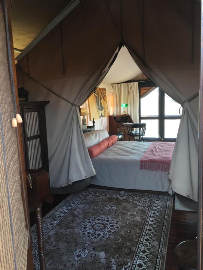 Out In Africa Wildlife Lodge Hammanskraal Exteriér fotografie