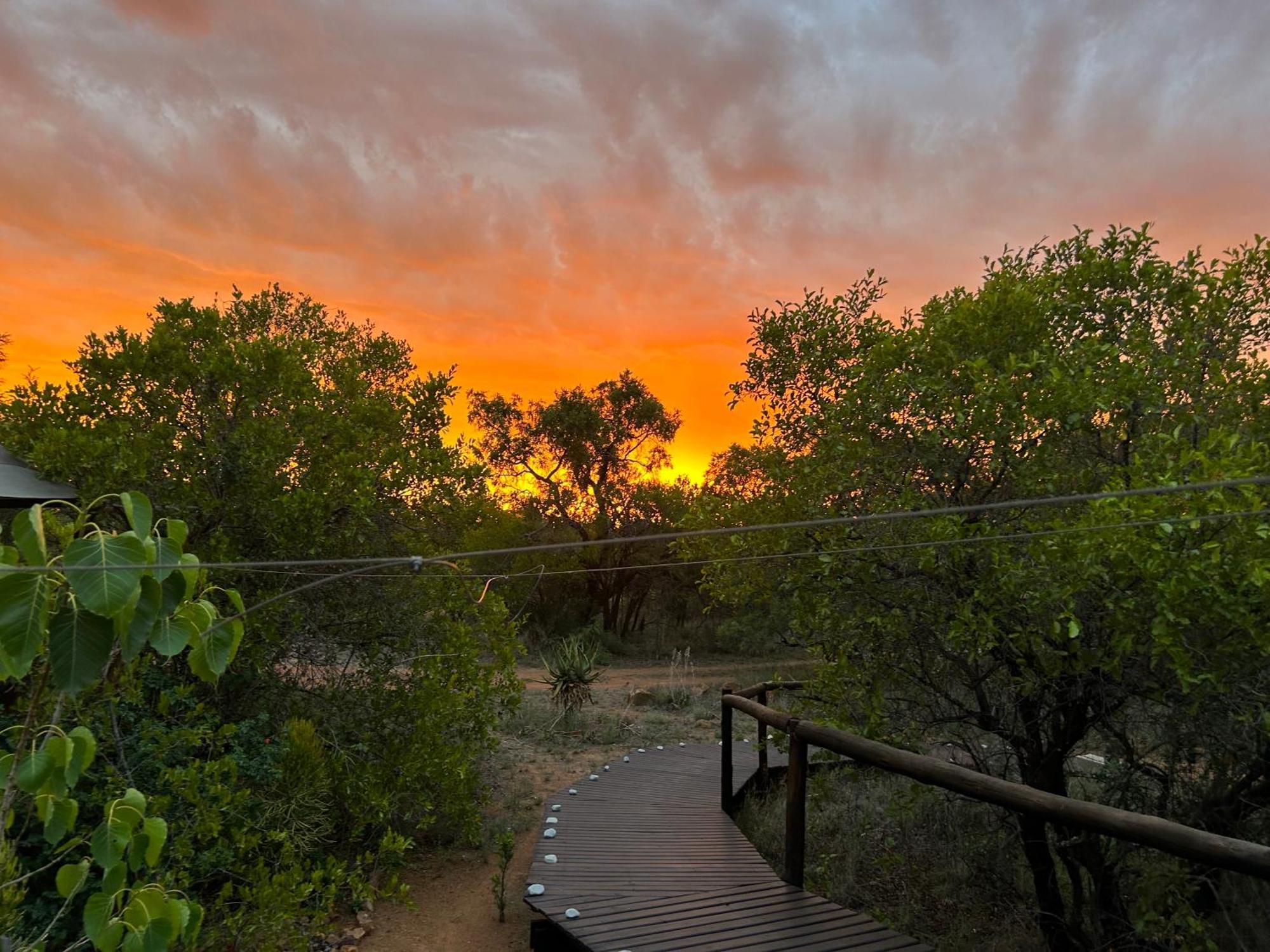 Out In Africa Wildlife Lodge Hammanskraal Exteriér fotografie