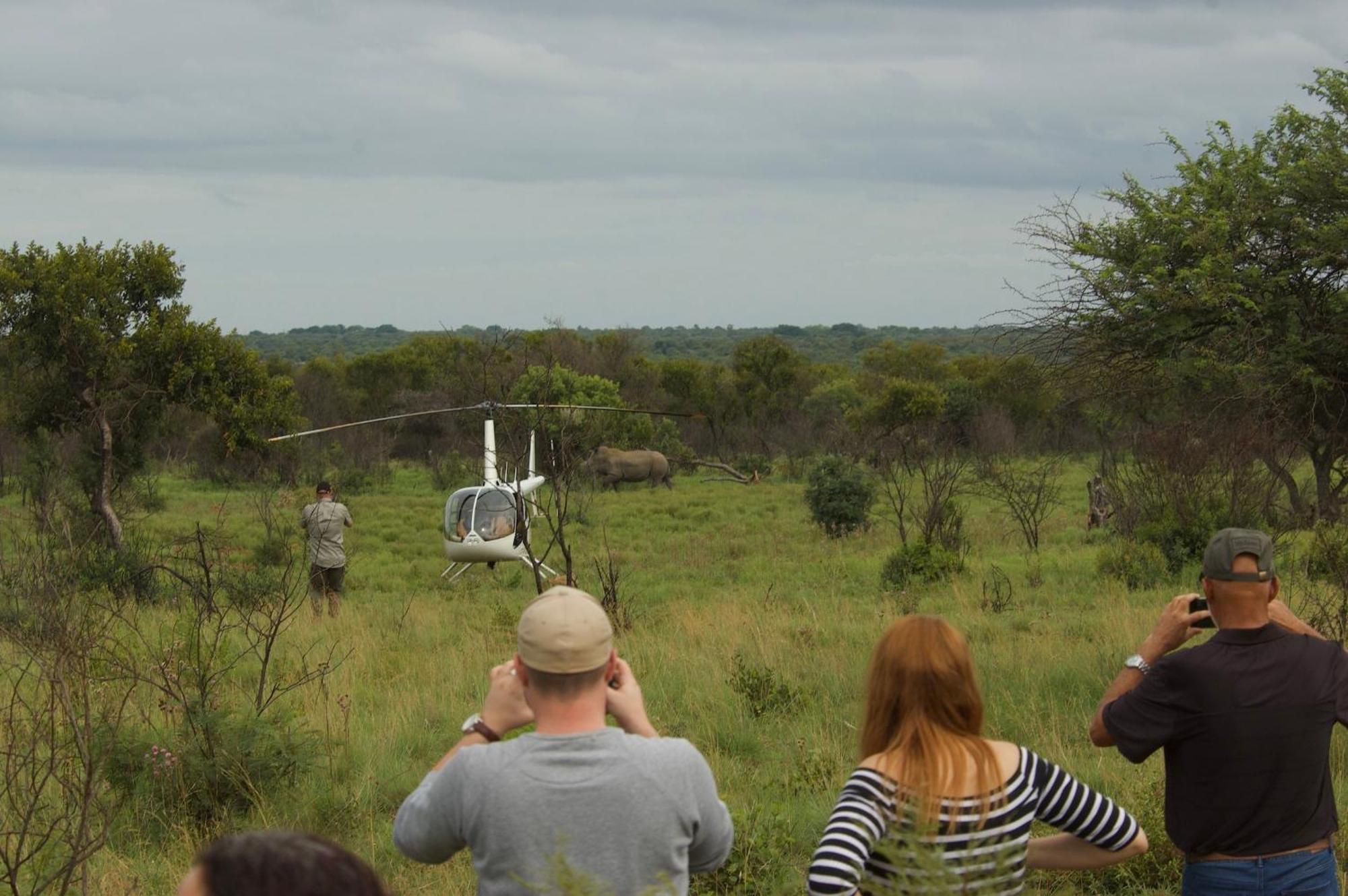 Out In Africa Wildlife Lodge Hammanskraal Exteriér fotografie